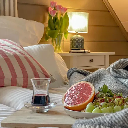 Traumhaff Lotsen Romantik Mit Kamin, Privates Nordicspa Und Boot Holiday home